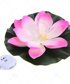 đèn led đổi màu năng lượng mặt trời ở Hồ Chí minh